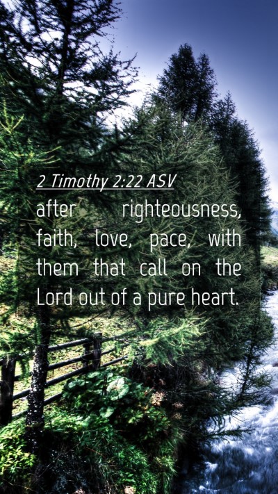 Picture 04 - 2 Timothy 2:22 ASV Mobile Phone Wallpaper - after righteousness, faith, love, pace, with them - Mobile Bible Verse Wallpaper