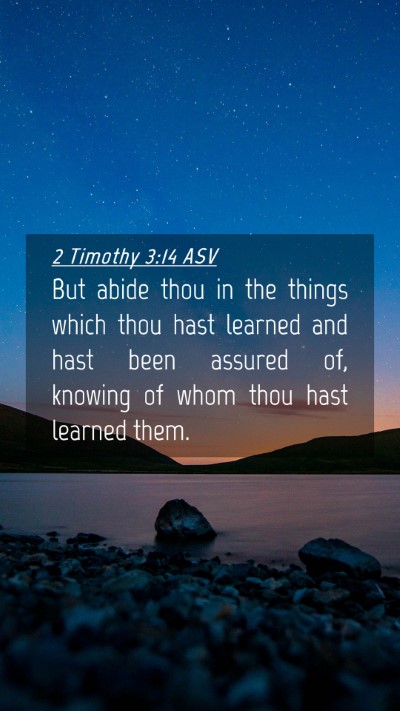 Picture 04 - 2 Timothy 3:14 ASV Mobile Phone Wallpaper - But abide thou in the things which thou hast - Mobile Bible Verse Wallpaper