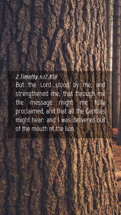 Picture 04 - 2 Timothy 4:17 ASV Mobile Phone Wallpaper - But the Lord stood by me, and strengthened me; - Mobile Bible Verse Wallpaper