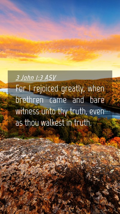 Picture 04 - 3 John 1:3 ASV Mobile Phone Wallpaper - For I rejoiced greatly, when brethren came and - Mobile Bible Verse Wallpaper