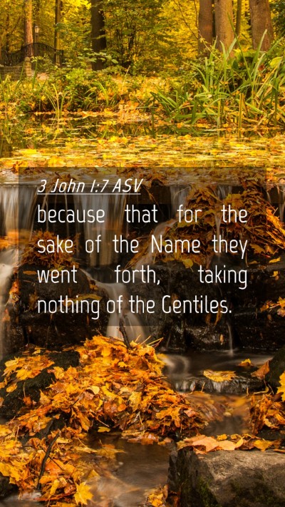 Picture 04 - 3 John 1:7 ASV Mobile Phone Wallpaper - because that for the sake of the Name they went - Mobile Bible Verse Wallpaper