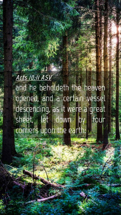Picture 04 - Acts 10:11 ASV Mobile Phone Wallpaper - and he beholdeth the heaven opened, and a certain - Mobile Bible Verse Wallpaper