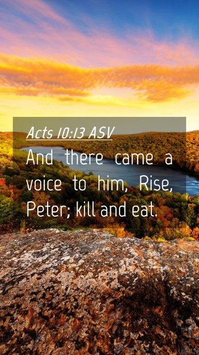 Picture 04 - Acts 10:13 ASV Mobile Phone Wallpaper - And there came a voice to him, Rise, Peter; kill - Mobile Bible Verse Wallpaper