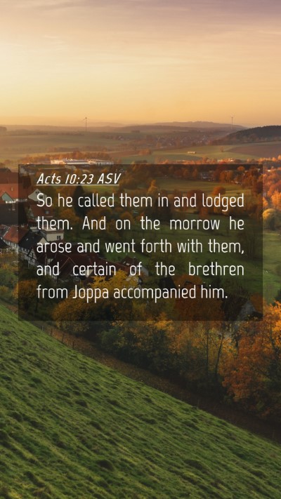 Picture 04 - Acts 10:23 ASV Mobile Phone Wallpaper - So he called them in and lodged them. And on the - Mobile Bible Verse Wallpaper