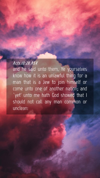 Picture 04 - Acts 10:28 ASV Mobile Phone Wallpaper - and he said unto them, Ye yourselves know how it - Mobile Bible Verse Wallpaper