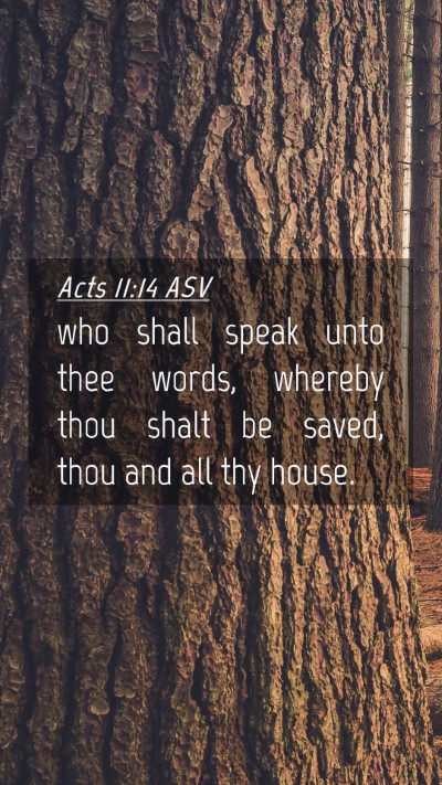 Picture 04 - Acts 11:14 ASV Mobile Phone Wallpaper - who shall speak unto thee words, whereby thou - Mobile Bible Verse Wallpaper