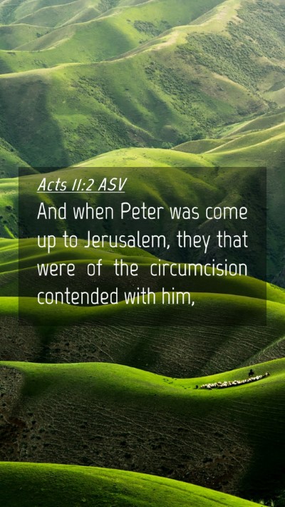 Picture 04 - Acts 11:2 ASV Mobile Phone Wallpaper - And when Peter was come up to Jerusalem, they - Mobile Bible Verse Wallpaper