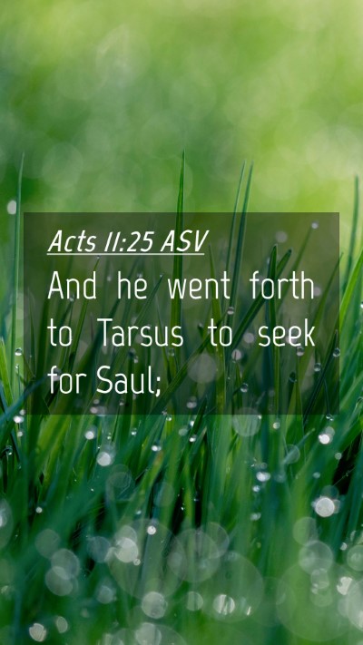 Picture 04 - Acts 11:25 ASV Mobile Phone Wallpaper - And he went forth to Tarsus to seek for - Mobile Bible Verse Wallpaper