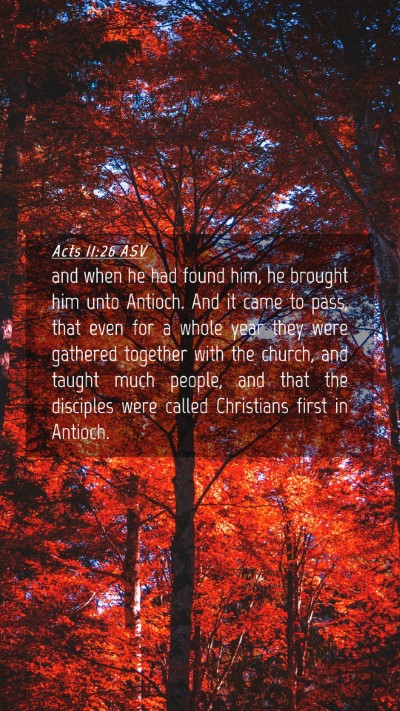 Picture 04 - Acts 11:26 ASV Mobile Phone Wallpaper - and when he had found him, he brought him unto - Mobile Bible Verse Wallpaper