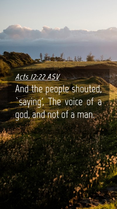 Picture 04 - Acts 12:22 ASV Mobile Phone Wallpaper - And the people shouted, `saying', The voice of a - Mobile Bible Verse Wallpaper