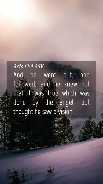 Picture 04 - Acts 12:9 ASV Mobile Phone Wallpaper - And he went out, and followed; and he knew not - Mobile Bible Verse Wallpaper