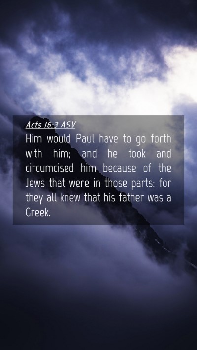 Picture 04 - Acts 16:3 ASV Mobile Phone Wallpaper - Him would Paul have to go forth with him; and he - Mobile Bible Verse Wallpaper