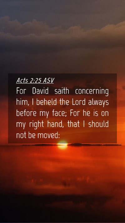 Picture 04 - Acts 2:25 ASV Mobile Phone Wallpaper - For David saith concerning him, I beheld the Lord - Mobile Bible Verse Wallpaper