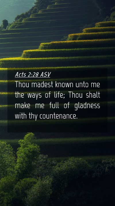 Picture 04 - Acts 2:28 ASV Mobile Phone Wallpaper - Thou madest known unto me the ways of life; Thou - Mobile Bible Verse Wallpaper