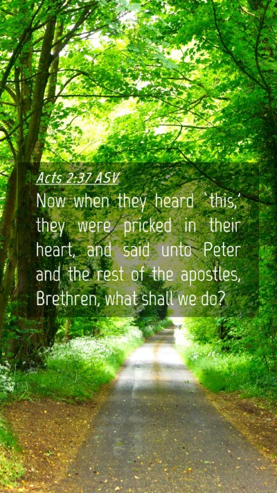 Picture 04 - Acts 2:37 ASV Mobile Phone Wallpaper - Now when they heard `this,' they were pricked in - Mobile Bible Verse Wallpaper