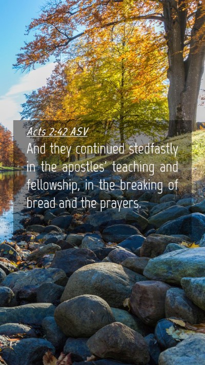 Picture 04 - Acts 2:42 ASV Mobile Phone Wallpaper - And they continued stedfastly in the apostles' - Mobile Bible Verse Wallpaper