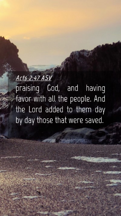 Picture 04 - Acts 2:47 ASV Mobile Phone Wallpaper - praising God, and having favor with all the - Mobile Bible Verse Wallpaper