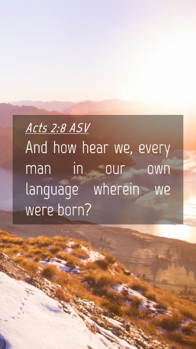 Picture 04 - Acts 2:8 ASV Mobile Phone Wallpaper - And how hear we, every man in our own language - Mobile Bible Verse Wallpaper