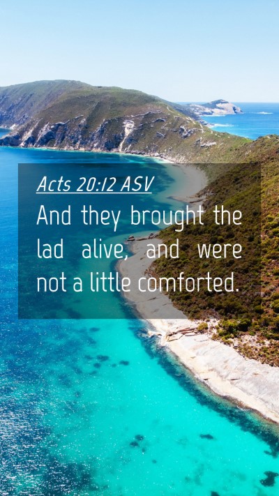 Picture 04 - Acts 20:12 ASV Mobile Phone Wallpaper - And they brought the lad alive, and were not a - Mobile Bible Verse Wallpaper