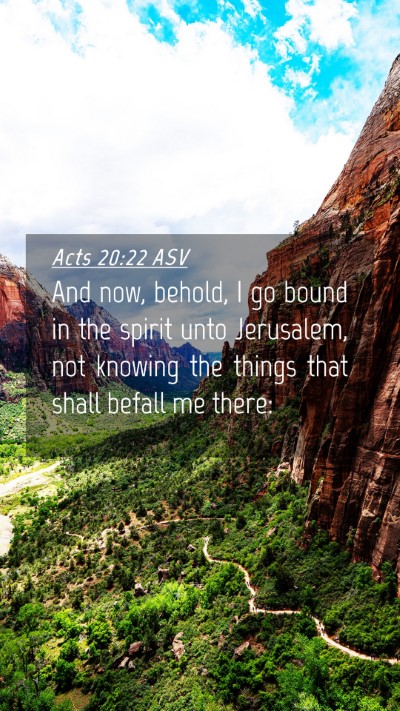 Picture 04 - Acts 20:22 ASV Mobile Phone Wallpaper - And now, behold, I go bound in the spirit unto - Mobile Bible Verse Wallpaper