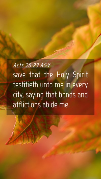Picture 04 - Acts 20:23 ASV Mobile Phone Wallpaper - save that the Holy Spirit testifieth unto me in - Mobile Bible Verse Wallpaper