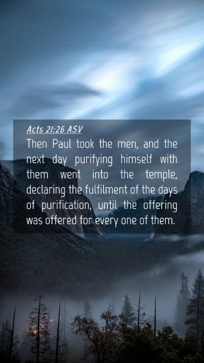 Picture 04 - Acts 21:26 ASV Mobile Phone Wallpaper - Then Paul took the men, and the next day - Mobile Bible Verse Wallpaper