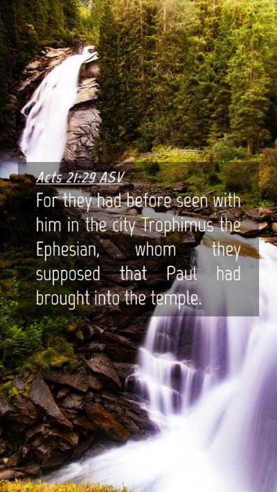 Picture 04 - Acts 21:29 ASV Mobile Phone Wallpaper - For they had before seen with him in the city - Mobile Bible Verse Wallpaper