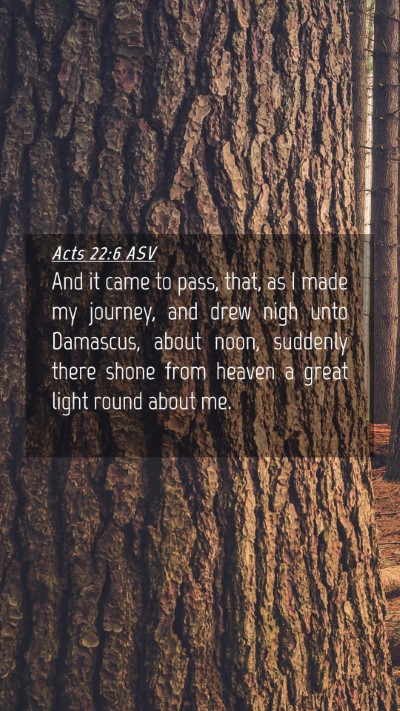 Picture 04 - Acts 22:6 ASV Mobile Phone Wallpaper - And it came to pass, that, as I made my journey, - Mobile Bible Verse Wallpaper