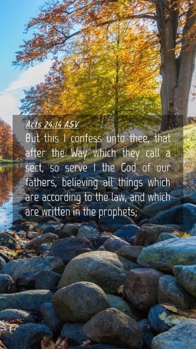Picture 04 - Acts 24:14 ASV Mobile Phone Wallpaper - But this I confess unto thee, that after the Way - Mobile Bible Verse Wallpaper