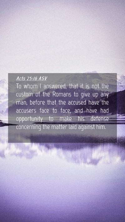 Picture 04 - Acts 25:16 ASV Mobile Phone Wallpaper - To whom I answered, that it is not the custom of - Mobile Bible Verse Wallpaper