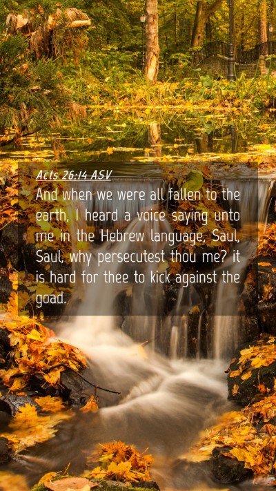 Picture 04 - Acts 26:14 ASV Mobile Phone Wallpaper - And when we were all fallen to the earth, I heard - Mobile Bible Verse Wallpaper