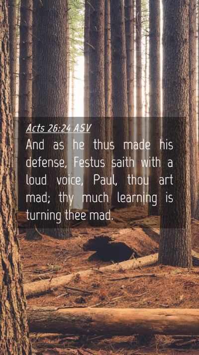 Picture 04 - Acts 26:24 ASV Mobile Phone Wallpaper - And as he thus made his defense, Festus saith - Mobile Bible Verse Wallpaper