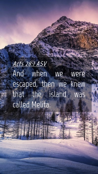 Picture 04 - Acts 28:1 ASV Mobile Phone Wallpaper - And when we were escaped, then we knew that the - Mobile Bible Verse Wallpaper