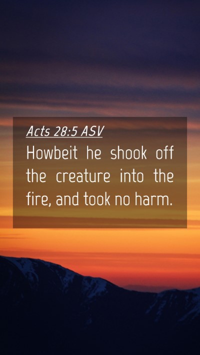 Picture 04 - Acts 28:5 ASV Mobile Phone Wallpaper - Howbeit he shook off the creature into the fire, - Mobile Bible Verse Wallpaper