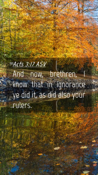 Picture 04 - Acts 3:17 ASV Mobile Phone Wallpaper - And now, brethren, I know that in ignorance ye - Mobile Bible Verse Wallpaper