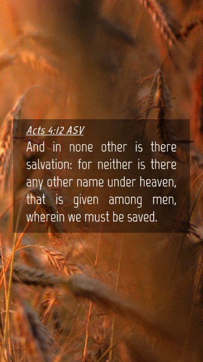 Picture 04 - Acts 4:12 ASV Mobile Phone Wallpaper - And in none other is there salvation: for neither - Mobile Bible Verse Wallpaper