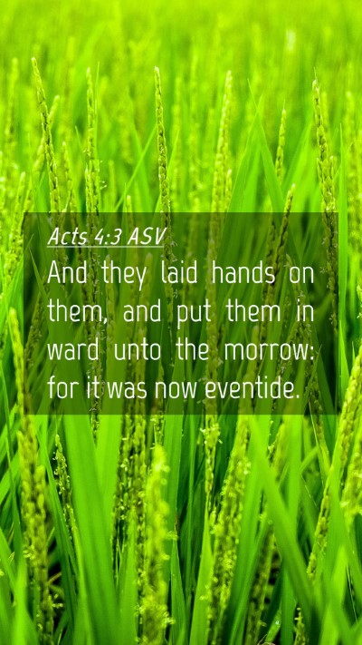 Picture 04 - Acts 4:3 ASV Mobile Phone Wallpaper - And they laid hands on them, and put them in ward - Mobile Bible Verse Wallpaper