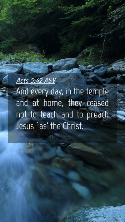 Picture 04 - Acts 5:42 ASV Mobile Phone Wallpaper - And every day, in the temple and at home, they - Mobile Bible Verse Wallpaper