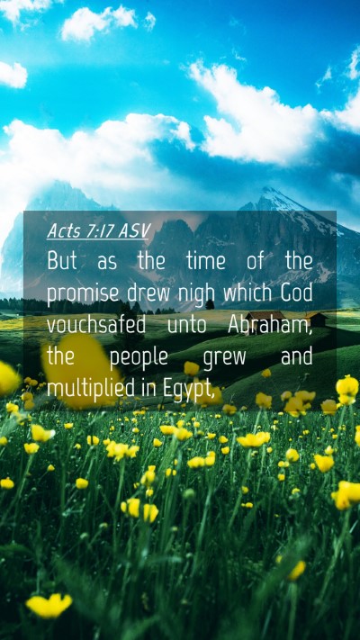 Picture 04 - Acts 7:17 ASV Mobile Phone Wallpaper - But as the time of the promise drew nigh which - Mobile Bible Verse Wallpaper