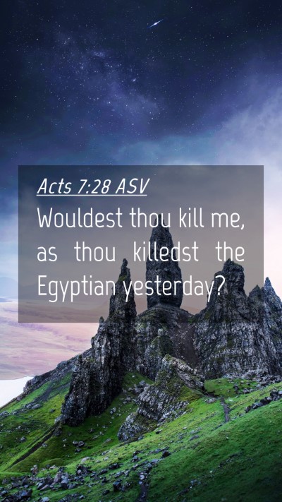 Picture 04 - Acts 7:28 ASV Mobile Phone Wallpaper - Wouldest thou kill me, as thou killedst the - Mobile Bible Verse Wallpaper