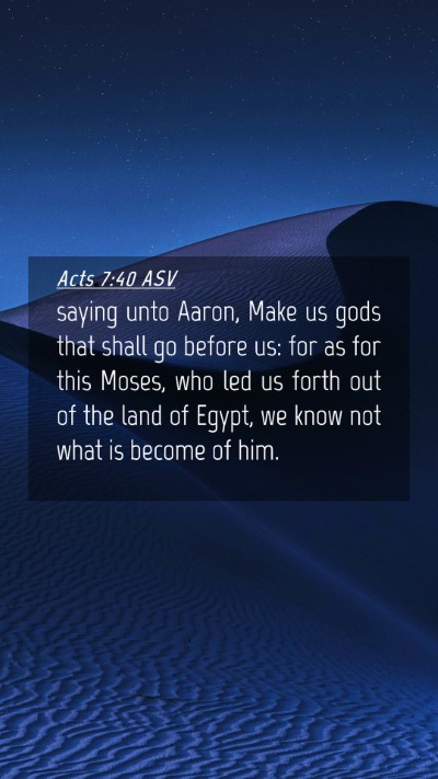 Picture 04 - Acts 7:40 ASV Mobile Phone Wallpaper - saying unto Aaron, Make us gods that shall go - Mobile Bible Verse Wallpaper
