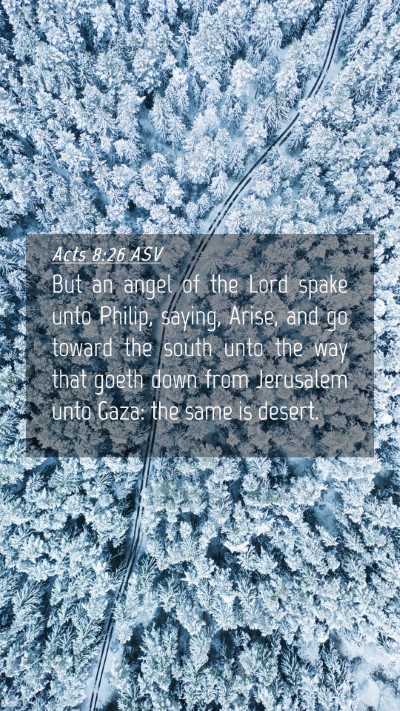 Picture 04 - Acts 8:26 ASV Mobile Phone Wallpaper - But an angel of the Lord spake unto Philip, - Mobile Bible Verse Wallpaper