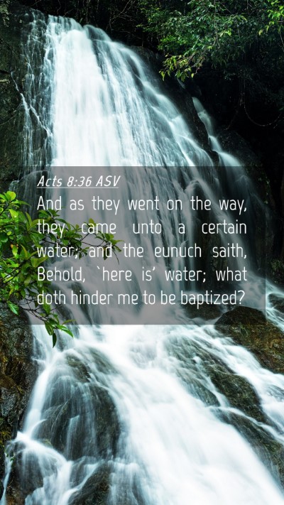 Picture 04 - Acts 8:36 ASV Mobile Phone Wallpaper - And as they went on the way, they came unto a - Mobile Bible Verse Wallpaper