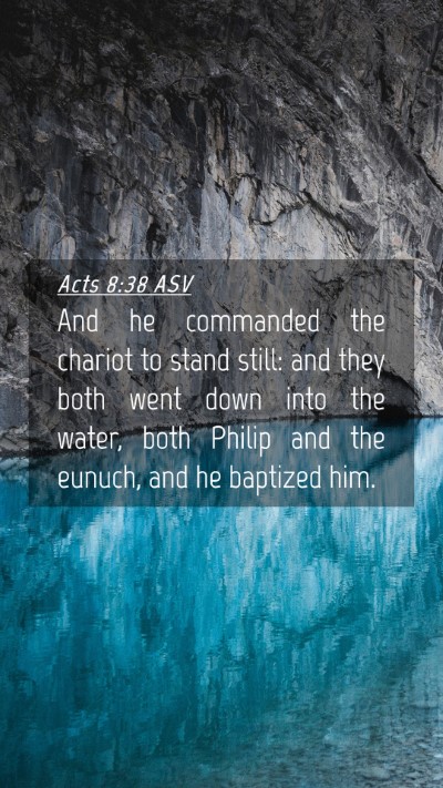Picture 04 - Acts 8:38 ASV Mobile Phone Wallpaper - And he commanded the chariot to stand still: and - Mobile Bible Verse Wallpaper
