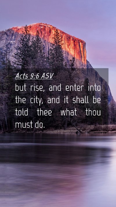 Picture 04 - Acts 9:6 ASV Mobile Phone Wallpaper - but rise, and enter into the city, and it shall - Mobile Bible Verse Wallpaper