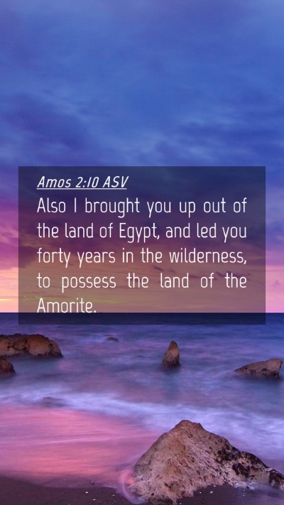 Picture 04 - Amos 2:10 ASV Mobile Phone Wallpaper - Also I brought you up out of the land of Egypt, - Mobile Bible Verse Wallpaper