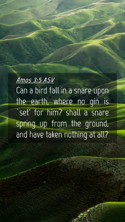 Picture 04 - Amos 3:5 ASV Mobile Phone Wallpaper - Can a bird fall in a snare upon the earth, where - Mobile Bible Verse Wallpaper