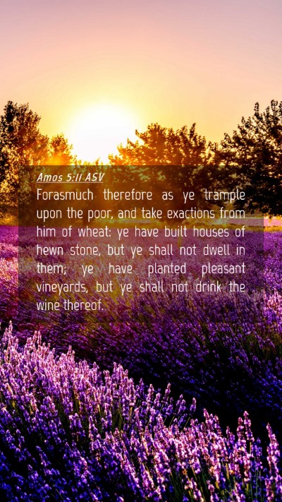 Picture 04 - Amos 5:11 ASV Mobile Phone Wallpaper - Forasmuch therefore as ye trample upon the poor, - Mobile Bible Verse Wallpaper