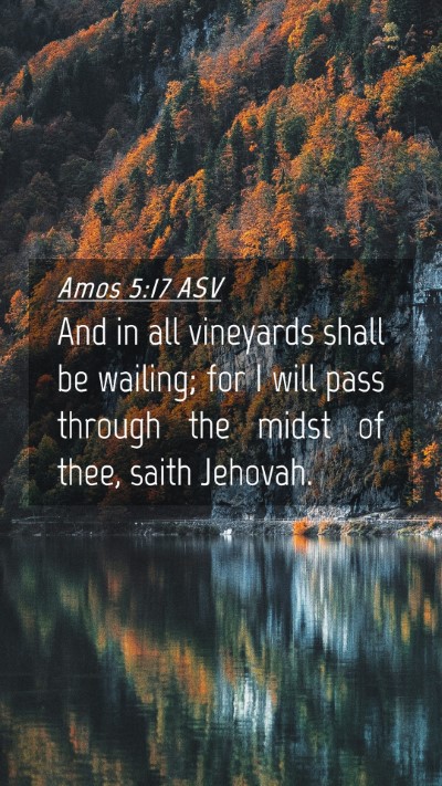 Picture 04 - Amos 5:17 ASV Mobile Phone Wallpaper - And in all vineyards shall be wailing; for I will - Mobile Bible Verse Wallpaper