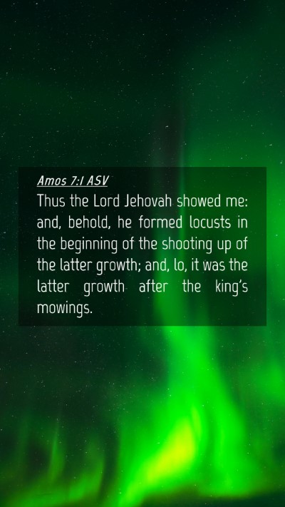 Picture 04 - Amos 7:1 ASV Mobile Phone Wallpaper - Thus the Lord Jehovah showed me: and, behold, he - Mobile Bible Verse Wallpaper